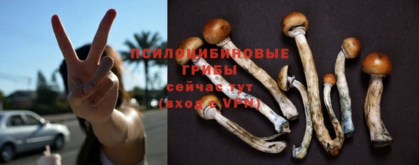 ГАЛЛЮЦИНОГЕННЫЕ ГРИБЫ Медногорск