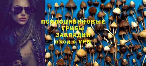 ГАЛЛЮЦИНОГЕННЫЕ ГРИБЫ Медногорск
