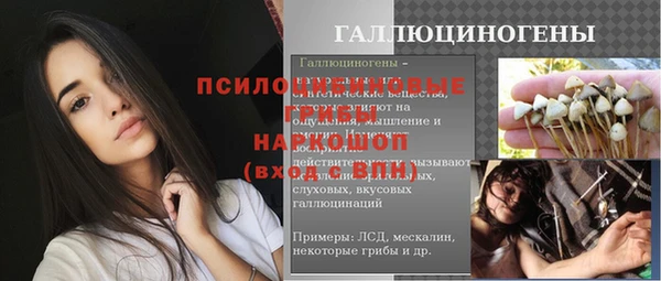 ГАЛЛЮЦИНОГЕННЫЕ ГРИБЫ Медногорск