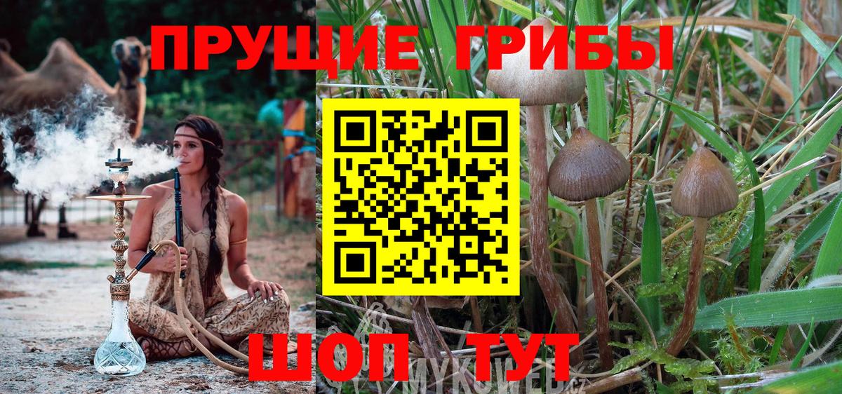 Галлюциногенные грибы GOLDEN TEACHER Нефтеюганск